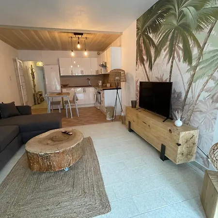 Apartment La Mediterranee Au Coeur Du Village 50 M De La Le Grau-du-Roi