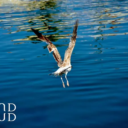 La Mediterranee Au Coeur Du Village 50 M De La * Le Grau-du-Roi