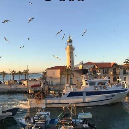 La Mediterranee 50 M شقة *
