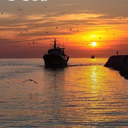 Appartamento La Méditerranée *