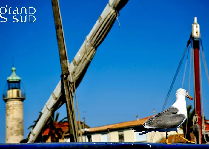 Διαμέρισμα La Mediterranee Au Coeur Du Village 50 M De La *