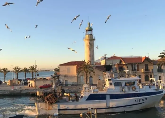 La Mediterranee Au Coeur Du Village 50 M De La Διαμέρισμα *